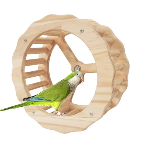 Vogelkäfig-Zubehör – Vogel Silent Wheel Spielzeug | Papagei Übungsrad | Papagei Intelligenz Spielzeug | Kauschnabel Übungsräder für Lovebird | Leise Spinner Laufrad für Vogel Papagei Kleintier von Generisch