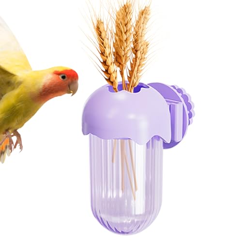 Vogelkäfigschalen,Futterschalen Mit Klemmhalterung | Futter- Und Wassernapf Mit Klemmhalterung Für Wellensittiche, Nymphensittiche, Finken, Sittiche Und Kleintiere Vogelkäfigschalen,Futterschalen Mit Klemmhalterung | Futter- Und Wassernapf Mit Klemmhalterung Für Wellensittiche, Nymphensittiche, Finken, Sittiche Und Kleintiere von Generisch