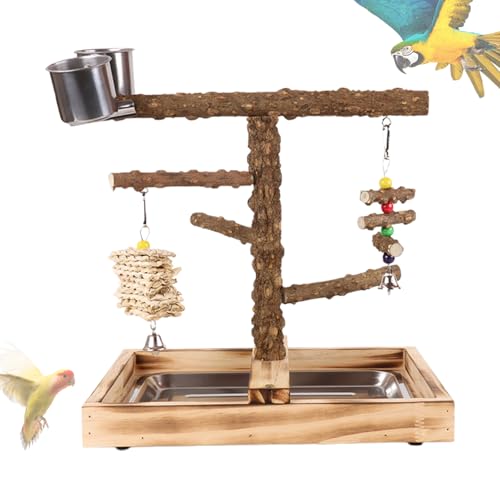 Vogelsitzstange – Holz-Vogel-Spielplatz | Sitzstange | -Spielplatz mit Futterspendern | kaufester Sittich Gym Spielständer Spielzeug für Fütterungstraining draußen drinnen Spielen Vogelsitzstange – Holz-Vogel-Spielplatz | Sitzstange | -Spielplatz mit Futterspendern | kaufester Sittich Gym Spielständer Spielzeug für Fütterungstraining draußen drinnen Spielen von Generisch