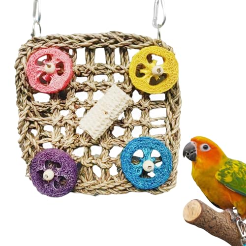Vogelspielzeug Für Sittiche,Bunte Futtersuche-Spielzeuge Für Vögel - Kleintierzubehör Für Käfig Spielplatz Futtersuche Training Innenkäfig Außenvoliere Zuhause Vogelspielzeug Für Sittiche,Bunte Futtersuche-Spielzeuge Für Vögel - Kleintierzubehör Für Käfig Spielplatz Futtersuche Training Innenkäfig Außenvoliere Zuhause von Generisch