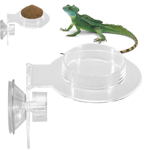 Wasserschale Für Reptilien Terrarium | Acryl Futter Napf Und Wasser Napf Für Kletternde Reptilien | Glatter Futterspender Für Kleine Tiere Echse Spinne Wasserschale Für Reptilien Terrarium | Acryl Futter Napf Und Wasser Napf Für Kletternde Reptilien | Glatter Futterspender Für Kleine Tiere Echse Spinne von Generisch