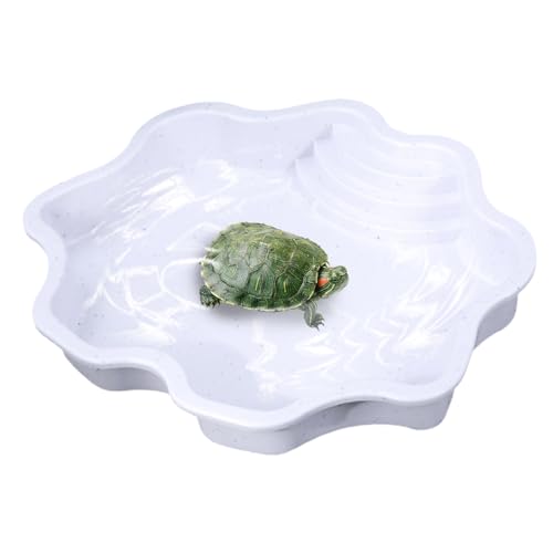 Wasserschale Schildkröte, Schildkröten Wasserbecken, Reptilien Badebecken, Schildkröten-Futternapf, Schildkrötenbecken, Eidechsen-Lebensraum Mit Rampe, Schildkröten-Futternapf Für Kleine Geckos Wasserschale Schildkröte, Schildkröten Wasserbecken, Reptilien Badebecken, Schildkröten-Futternapf, Schildkrötenbecken, Eidechsen-Lebensraum Mit Rampe, Schildkröten-Futternapf Für Kleine Geckos von Generisch