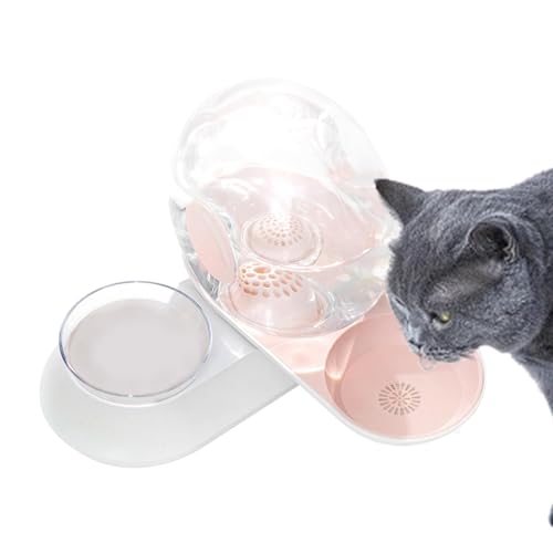 Wasserspender für Katzen und Hunde, Wasserbrunnen für Katzen, Schneckenförmiger automatischer gefilterter Wasserspender für Haustiere, Schneckenförmiger Trinkbrunnen, 2-in-1-Wasser- und Futternapf-Set von Generisch