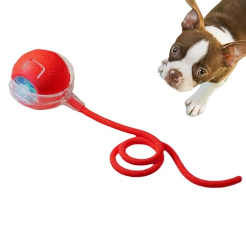 Wechseln Sie die Bewegung des Quietsch- und Aktivierungsspielzeugs – bewegungsaktivierte Spielzeugbälle | Interaktives Spielzeug für Kätzchen | Katze Teaser Ball Spaß Spielzeug Wechseln Sie die Bewegung des Quietsch- und Aktivierungsspielzeugs – bewegungsaktivierte Spielzeugbälle | Interaktives Spielzeug für Kätzchen | Katze Teaser Ball Spaß Spielzeug von Generisch