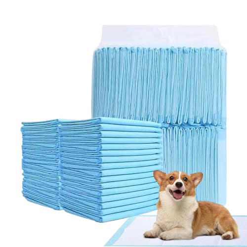 Wee Wee Pads für Hunde,Puppy Pee Pads - Super saugfähige Welpenunterlagen,Ultra saugfähige Hunde-Pipi-Pads, auslaufsichere, geruchshemmende Welpen-Trainingspads, schnell trocknende Pee-Pads für Hunde, von Generisch