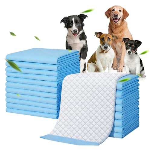 Welpen -Trainingspads 20pcs Einweg -Welpenpolster 23,635,4 Zoll absorbierende leckere Hundetoilette Pee Pads Haus Haustiermatten für Katzen, Kaninchen von Generisch