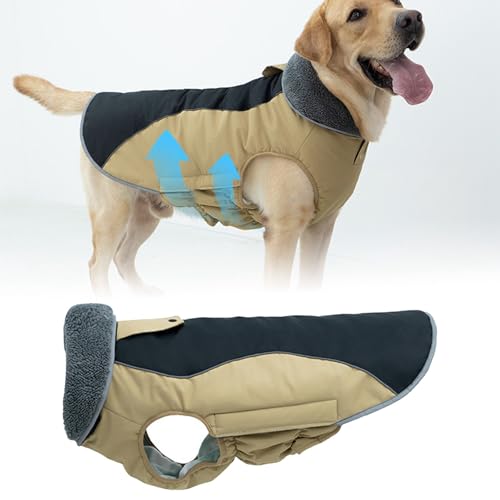 Wintermantel für Hunde, Kaltwetterjacke mit Polsterung, Hundeweste mit eingebauter warmer Haustierkleidung, Hundebekleidung mit Reißverschluss auf der Rückseite, geeignet für kleine Med DKS384 (B, von Generisch