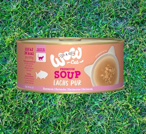 Wow Cat | Katzen Premium Nassfutter | Suppe in der Dose | (70 g (12er Pack), Lachs) von Generisch