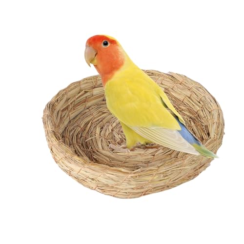 Zuchtvogelkäfighaus - Flachboden Nist Shelter, Haustier Vogel Nist Box | Holznester Kistenunterkünfte, Käfigzubehör für Meerschweinchenkaninchen, Papageientaube Hamster Nisthütte, Innenhäuser in Innen Zuchtvogelkäfighaus - Flachboden Nist Shelter, Haustier Vogel Nist Box | Holznester Kistenunterkünfte, Käfigzubehör für Meerschweinchenkaninchen, Papageientaube Hamster Nisthütte, Innenhäuser in Innen von Generisch