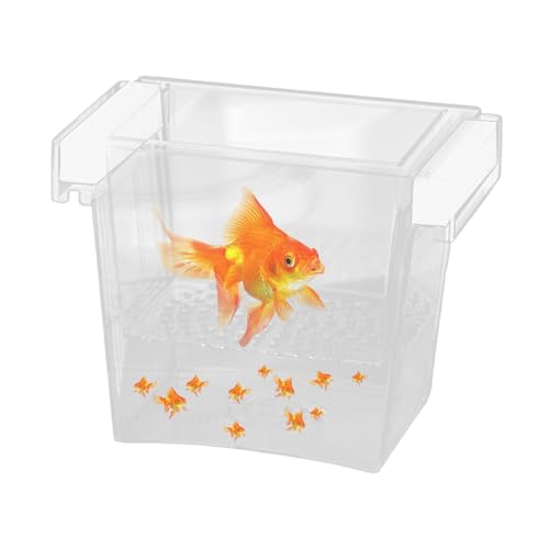 Züchterbox für Aquarien, Netz-Aquarium-Züchterbox, Kindergartenteiler, Behälter, Brutkasten für Betta, Guppy, Kaiserfisch, Brateier Züchterbox für Aquarien, Netz-Aquarium-Züchterbox, Kindergartenteiler, Behälter, Brutkasten für Betta, Guppy, Kaiserfisch, Brateier von Generisch