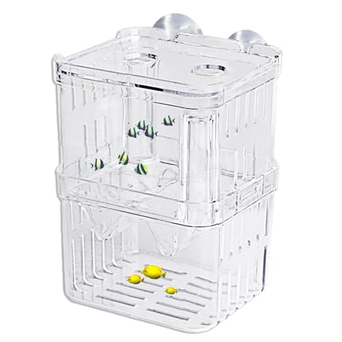 Züchterbox für Aquarien – Trennwand, Schlüpfboxen, transparente Acryl-Züchter-Isolierung, Brutkasten, Baby-Fischbecken für Babyfische, Garnelen, Clownfische und Guppy, 12 x 7 x 7 x 7 cm von Generisch