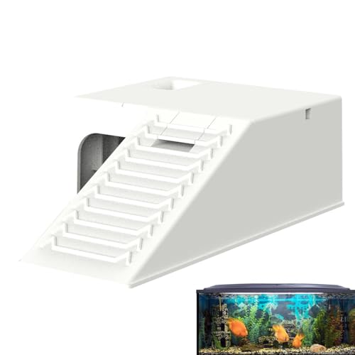 kletterphase badewannen dekorationen für 8,27 zoll rampenplattform vielseitig rampenplattform kletterplattform mit wasser filter pe kletterphase badewannen dekorationen für 8,27 zoll rampenplattform vielseitig rampenplattform kletterplattform mit wasser filter pe von Generisch