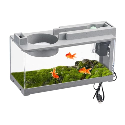 minii Fish Tank - Beta Fish Tank | Small Fish Tank | Tabletop Display Decoration, Desktop Aquarium, Decorative Retro Quiet Small Fish Tank with Air Pump, for Betta Fish, Shrimp, goldfishh, Turtle von Generisch