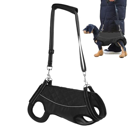 Tragehilfe Geschirr Hunde Hebegeschirr Hund Tragegurt Für Treppen, Hundehebegeschirr Verstellbarer Hundetragegurt, Hundeschlinge & Hundetragegeschirr Für Kleine, Mittlere, Große Hunde Tragehilfe Geschirr Hunde Hebegeschirr Hund Tragegurt Für Treppen, Hundehebegeschirr Verstellbarer Hundetragegurt, Hundeschlinge & Hundetragegeschirr Für Kleine, Mittlere, Große Hunde von Genikeer