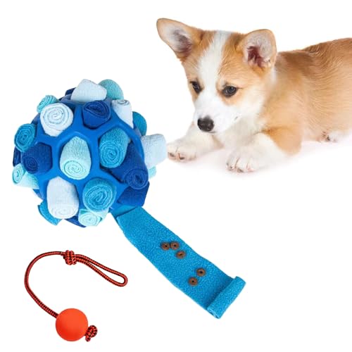 Gepas Premium schnüffelball für Hunde，Langlebig & Sicher intelligenzspielzeug für Hunde，Förderung von Agilität und Intelligenz schnüffelteppich für Hunde Hundetraining für alle Hunderassen von Gepas