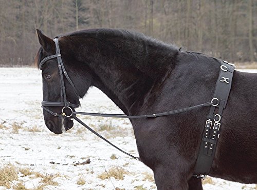 German Riding Dreieckszügel Wienerzügel nach §70 LPO auf Turnieren zugelassen Leder schwarz Pony von German Riding