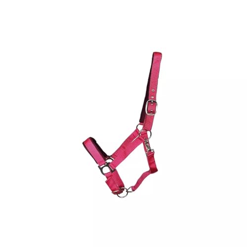 German Riding Kunststoffhalfter Basic Paddy Magenta Cob gleich VB von German Riding