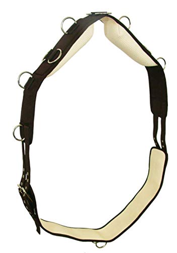 German Riding Longiergurt Favour braun-schwarz Nylon weiche Kissen 9 D-Ringe (Warmblut, braun-schwarz) von German Riding