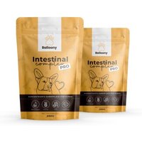 German Shephy Darmpulver Intestinal Pro 400 g von German Shephy