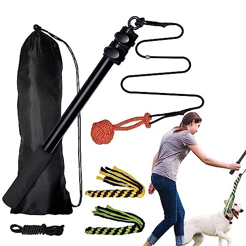 Geruwam Dog Flirt, 40 cm ausziehbarer Teaser-Zauberstab, Hundeanreicherungsspielzeug, einziehbares Hundespielzeug mit rutschfester Baumwolle, interaktives Spielzeug für Hundetraining und Bewegung von Geruwam