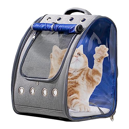 Geruwam Pet Carrier Backpack, Transparent Puppy Carrier Backpack, Safety Features and Cushion Back Support Dog Carrier, Pet Outing Bag with 8 Hole Ventilation, Cat Bags for Travel Hiking von Geruwam