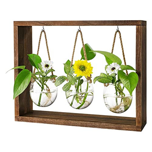 Mauerausbreitungsstation,Blumen-Terrarium-Kit mit Holzständer - Mini Reagenzglas Blumenvase Glasblumentopf für hydroponisches Hausgarten-Dekor-Geschenk Geruwam von Geruwam