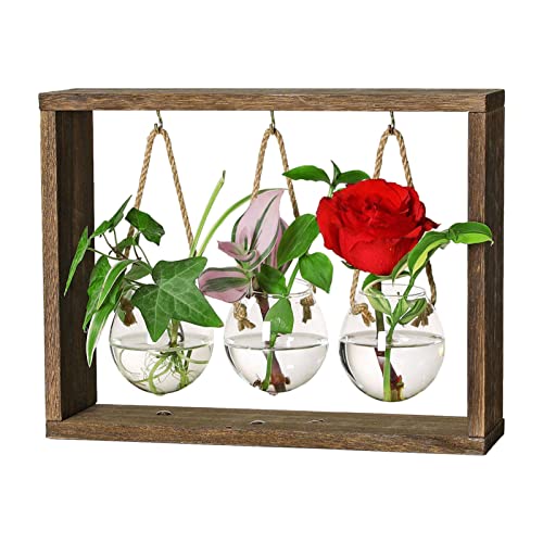 Wasser-Anzuchtstation, Desktop-Terrarium im Holzständer, Reagenzglas-Blumenvase, Glas-Blumentopf für Hydrokultur, Haus, Garten, Dekor Geruwam von Geruwam