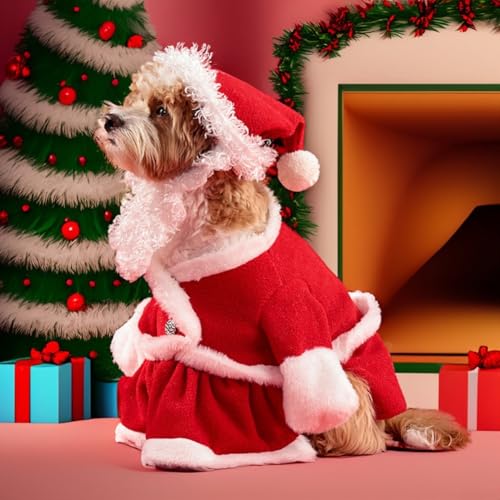 Merry Pet Kostüm im festlichen Stil, komplett mit einem weichen Samtkleid und Accessoires (S) von Getdoublerich