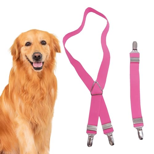 Geteawily Hunde-Hosenträger für Windeln, verstellbar, fester Gürtel, Windelhalter, Bauchband, Hundewindelriemen für Haustierwindel-Shorts von Geteawily