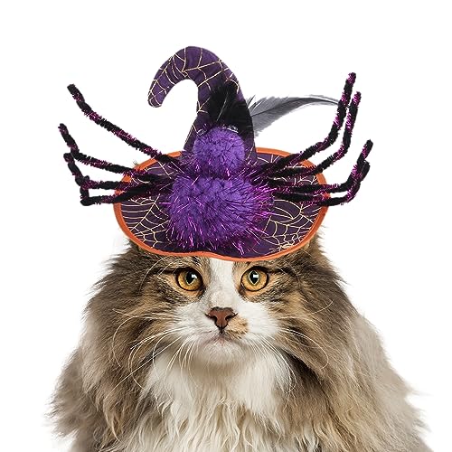 Katzen-Zauberer-Hut, attraktive und kreative Halloween-Spinnenkopfabdeckung, multifunktionale Haustier-Katzen-Halloween-Bekleidung, interessantes Haustier-Kostüm, Bekleidungszubehör für Hunde und von Geteawily