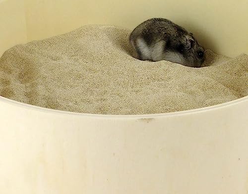 Getzoo Badesand - Chinchilla Sand 2 kg I Spezialpflege für Fell und Krallen I Vielseitige Anwendung I 100% Sepiolitsand I Für Diverse Nager und Exoten geeignet (2 kg) von Getzoo