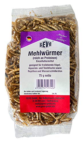 GEVO Mehlwürmer getrocknet 75 g von Gevo