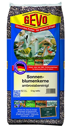 Gevo Gestreifte Sonnenblumenkerne | 5kg hochwertige Kerne von Sonnenblumen von Gevo