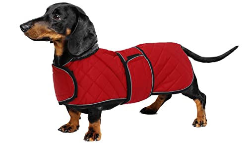 Geyecete - Warmer wintermantel für dackel Hunde,Hunde winterjacken mit plüschfutter,Outdoor jacken mit verstellbaren gürtel und Kabelbaumloch ,für mittelgroße und Kleiner dackel-Rot-M von Geyecete