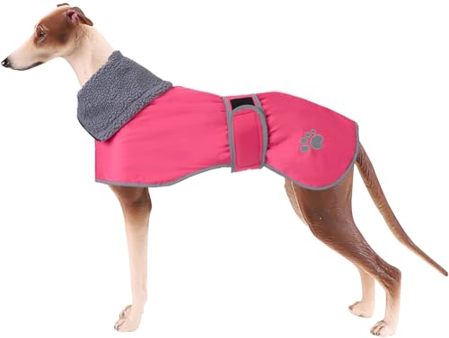 Geyecete Hunde Wintermäntel fur Windhund,Hundejacken mit plüschfutter,Wasserdichter Regenmantel Winddicht, Outdoor-Hundebekleidung mit Sicheren Reflexstreifen,fur mittel und große Hunde-Rosa-M von Geyecete