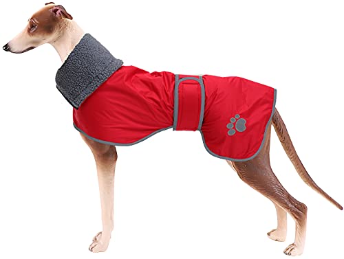 Geyecete Hunde Wintermäntel fur Windhund,Hundejacken mit plüschfutter,Wasserdichter Regenmantel Winddicht, Outdoor-Hundebekleidung mit Sicheren Reflexstreifen,fur mittel und große Hunde-Rot-XL von Geyecete