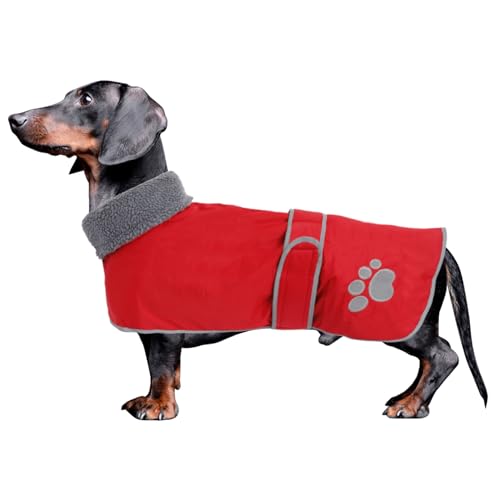 Geyecete-Hunde Wintermantel fur Dackel,Hundejacken mit plüschfutter und Kabelbaumloch,Wasserdichter Winddicht, reflektierend Outdoor Hundekleidung fur mittel und Kleiner Dackel Hund-Rot-M von Geyecete