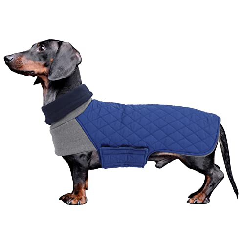 Geyecete Hundemantel Dackel, Dackel Wintermantel, Warmer Quilten Dackelmantel mit Geschirr Loch,Winddicht Rollkragen Hundejacken, Miniatur Dackel Weste für kleine Hunde-Navy Blau-L von Geyecete