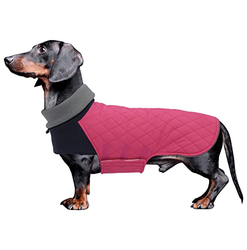 Geyecete Hundemantel Dackel, Dackel Wintermantel, Warmer Quilten Dackelmantel mit Geschirr Loch,Winddicht Rollkragen Hundejacken, Miniatur Dackel Weste für kleine Hunde-Rosa-L von Geyecete