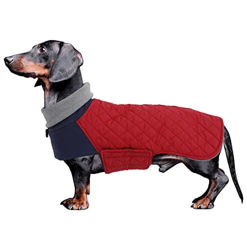 Geyecete Hundemantel Dackel, Dackel Wintermantel, Warmer Quilten Dackelmantel mit Geschirr Loch,Winddicht Rollkragen Hundejacken, Miniatur Dackel Weste für kleine Hunde-Rot-XL von Geyecete