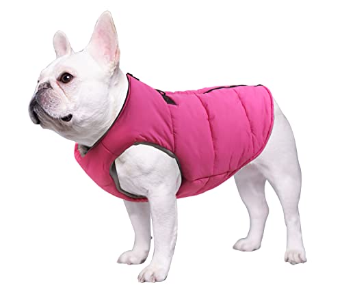 Geyecete Hundemantel Winterweste Hundejacke Baumwolle Gepolsterter Mantel mit Reißverschluss Haustier Kleidung fur Französische Bulldogge Warme Haustier Skifahren Kostüm-Rosa-L von Geyecete