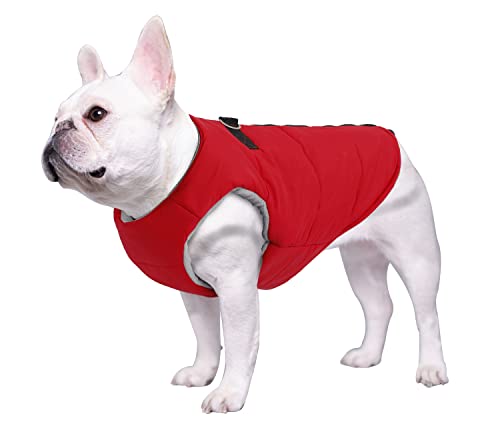 Geyecete Hundemantel Winterweste Hundejacke Baumwolle Gepolsterter Mantel mit Reißverschluss Haustier Kleidung fur Französische Bulldogge Warme Haustier Skifahren Kostüm-Rot-M von Geyecete