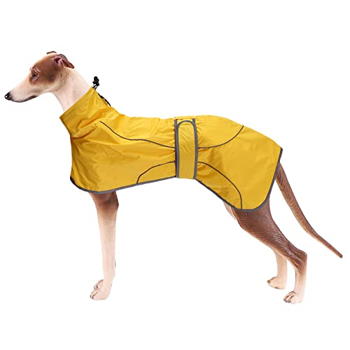 Geyecete- Leicht Windhund regenmantel, Verstellbar Wasserfeste Hundemantel fur Whippet,Reflektierend Hunde Regenjacke Poncho Mit Geschirr Loch,für Greyhounds,Lurcher und Whippets,Saluski-Gelb-L von Geyecete