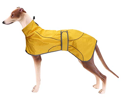 Geyecete- Leicht Windhund regenmantel, Verstellbar Wasserfeste Hundemantel fur Whippet,Reflektierend Hunde Regenjacke Poncho Mit Geschirr Loch,für Greyhounds,Lurcher und Whippets,Saluski-Gelb-XXXL von Geyecete