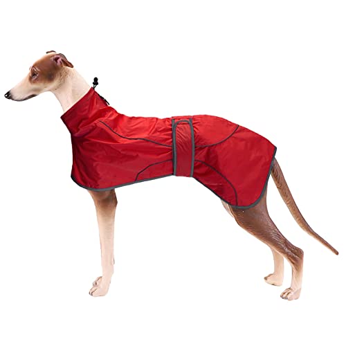 Geyecete- Leicht Windhund regenmantel, Verstellbar Wasserfeste Hundemantel fur Whippet,Reflektierend Hunde Regenjacke Poncho Mit Geschirr Loch,für Greyhounds,Lurcher und Whippets,Saluski-Rot-L von Geyecete