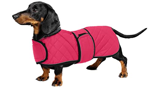 Geyecete - Warmer wintermantel für dackel Hunde,Hunde Winterjacken mit plüschfutter,Outdoor jacken mit verstellbaren gürtel und Kabelbaumloch,für mittelgroße und Kleiner dackel-Rosa-S von Geyecete