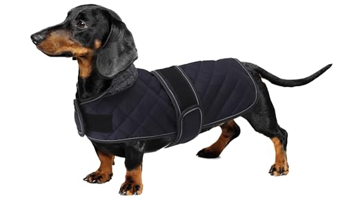 Geyecete - Warmer wintermantel für dackel Hunde,Hunde Winterjacken mit plüschfutter,Outdoor jacken mit verstellbaren gürtel und Kabelbaumloch,für mittelgroße und Kleiner dackel-Navy Blau-L von Geyecete