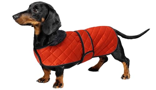 Geyecete - Warmer wintermantel für dackel Hunde,Hunde Winterjacken mit plüschfutter,Outdoor jacken mit verstellbaren gürtel und Kabelbaumloch,für mittelgroße und Kleiner dackel-Orange-L von Geyecete