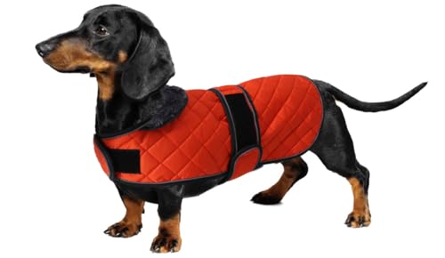 Geyecete - Warmer wintermantel für dackel Hunde,Hunde Winterjacken mit plüschfutter,Outdoor jacken mit verstellbaren gürtel und Kabelbaumloch,für mittelgroße und Kleiner dackel-Orange-M von Geyecete