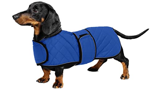 Geyecete - Warmer wintermantel für dackel Hunde,Hunde winterjacken mit plüschfutter,Outdoor jacken mit verstellbaren gürtel und Kabelbaumloch ,für mittelgroße und Kleiner dackel-Blau-L von Geyecete